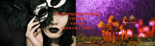 СК Новокубанск
