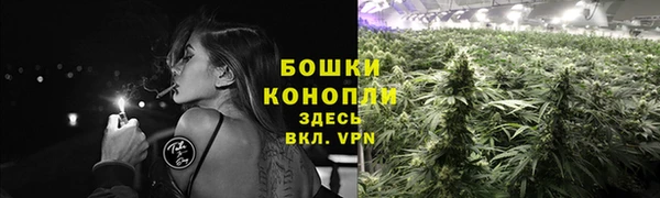 СК Новокубанск