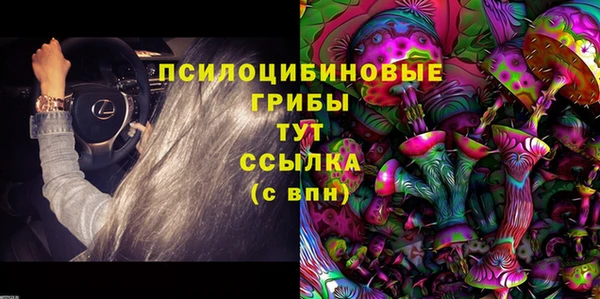 ALPHA PVP Новодвинск
