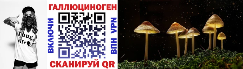 купить наркотики цена  Цоци-Юрт  Галлюциногенные грибы мухоморы 