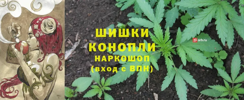 как найти закладки  Цоци-Юрт  Бошки марихуана THC 21% 